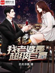 我的老婆是超级大明星