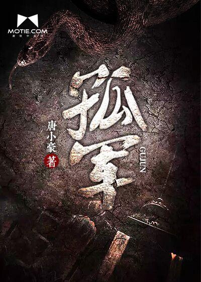 孤军作战的近义词