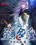 至尊剑皇笔趣阁免费阅读
