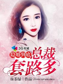 隐婚总裁全文阅读