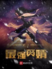 史上最强赘婿沈浪TXT免费