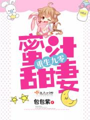 重生九零之蜜宠甜妻