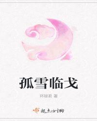孤雪临戈