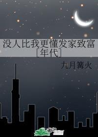 没人比我更懂发家致富[年代]